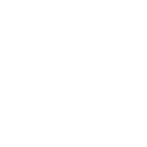 Vida Gente e Gestão - Consultoria Estratégica em RH